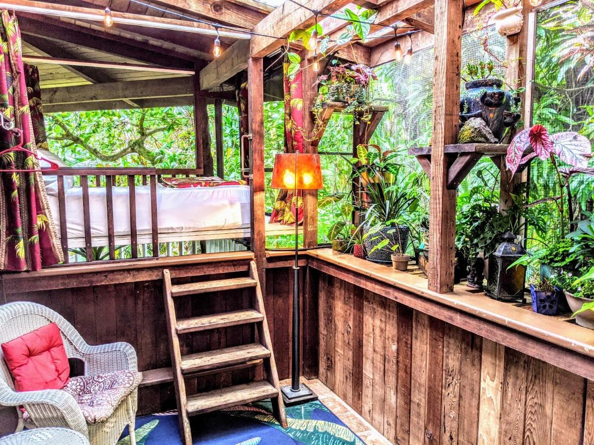 Kehena Mauka Nui Club Lgbtqia+ Clothing Optional Bed & Breakfast Pahoa Стая снимка