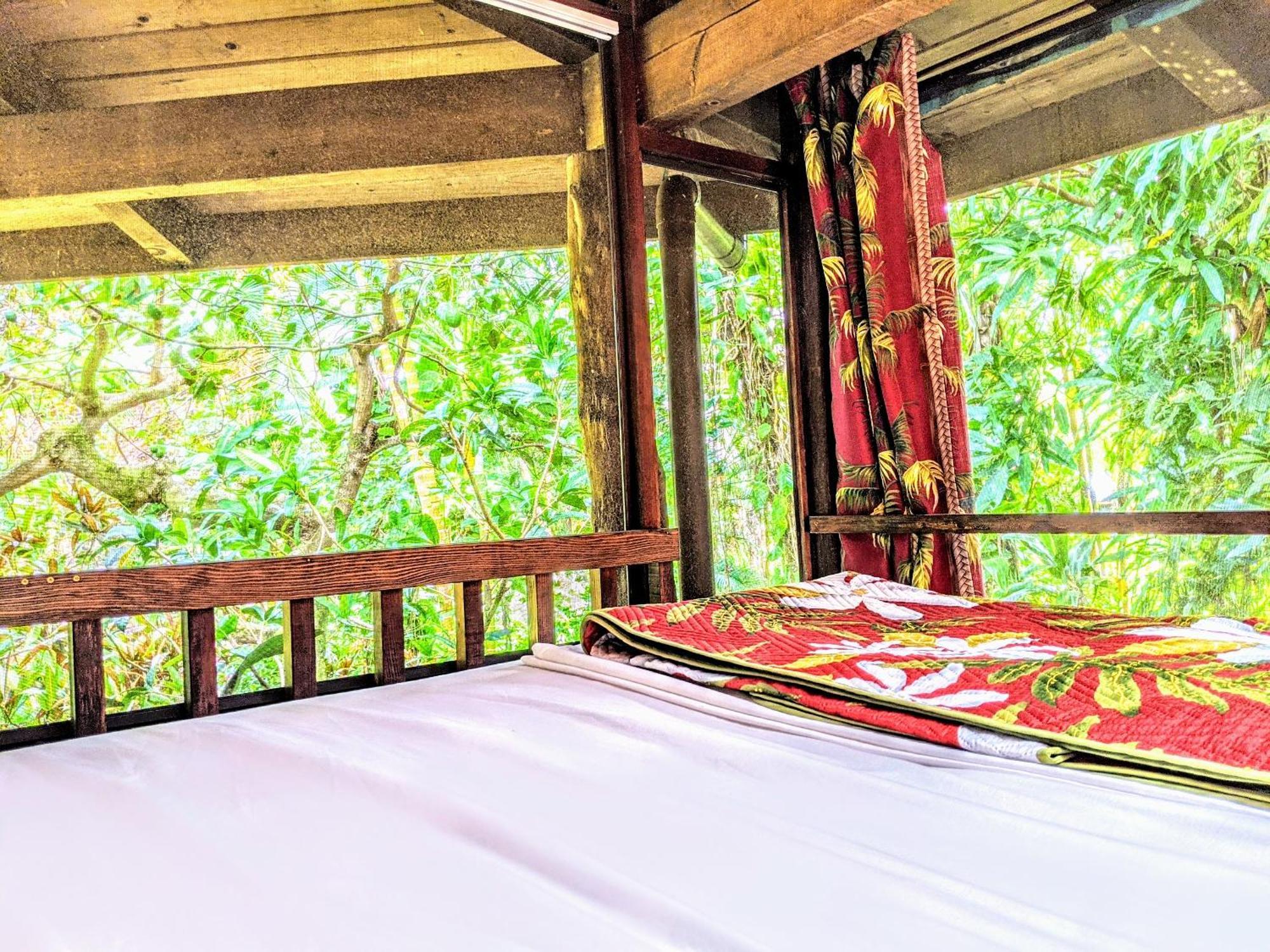 Kehena Mauka Nui Club Lgbtqia+ Clothing Optional Bed & Breakfast Pahoa Стая снимка